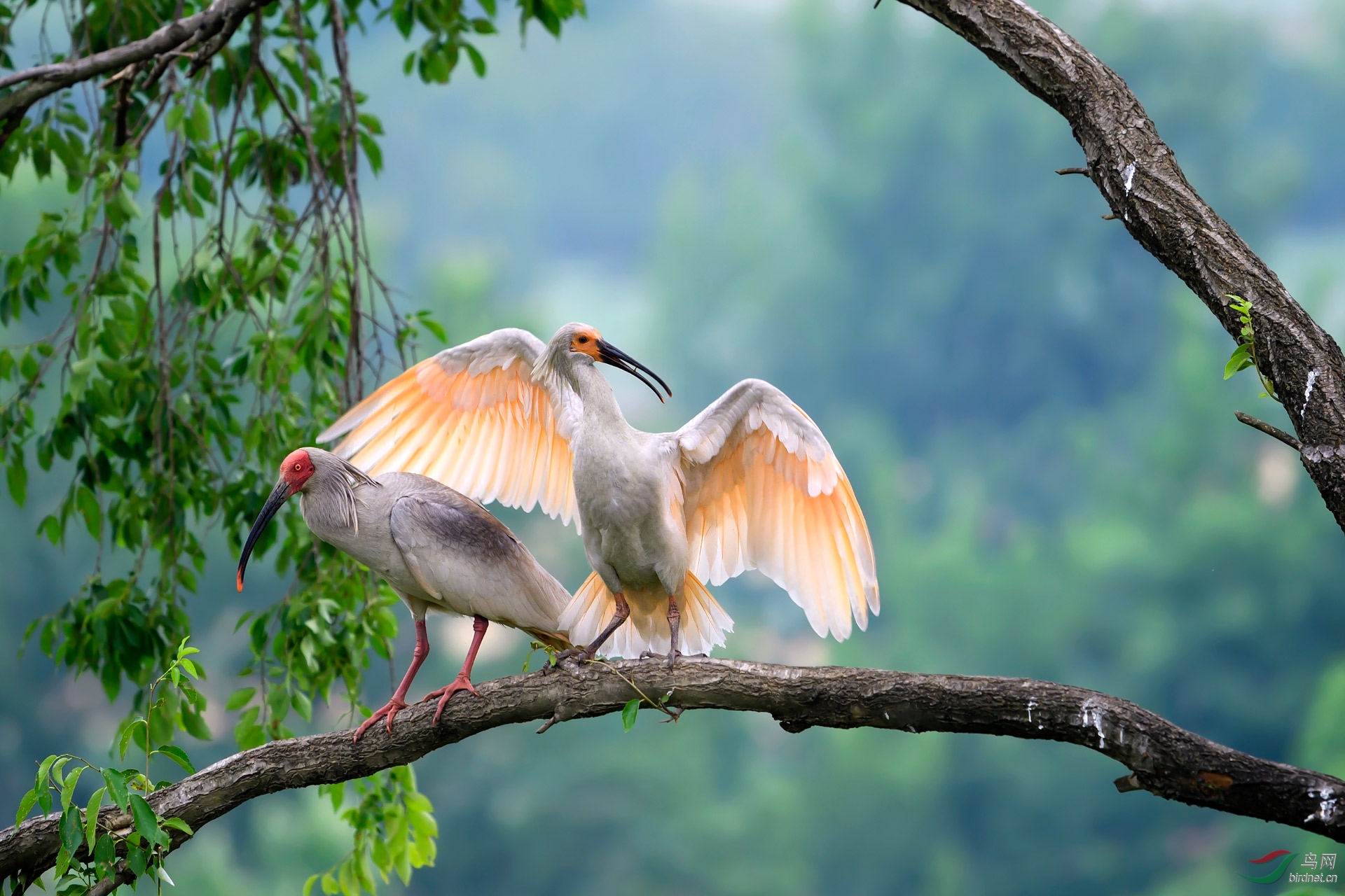 DSC_3790С.jpg