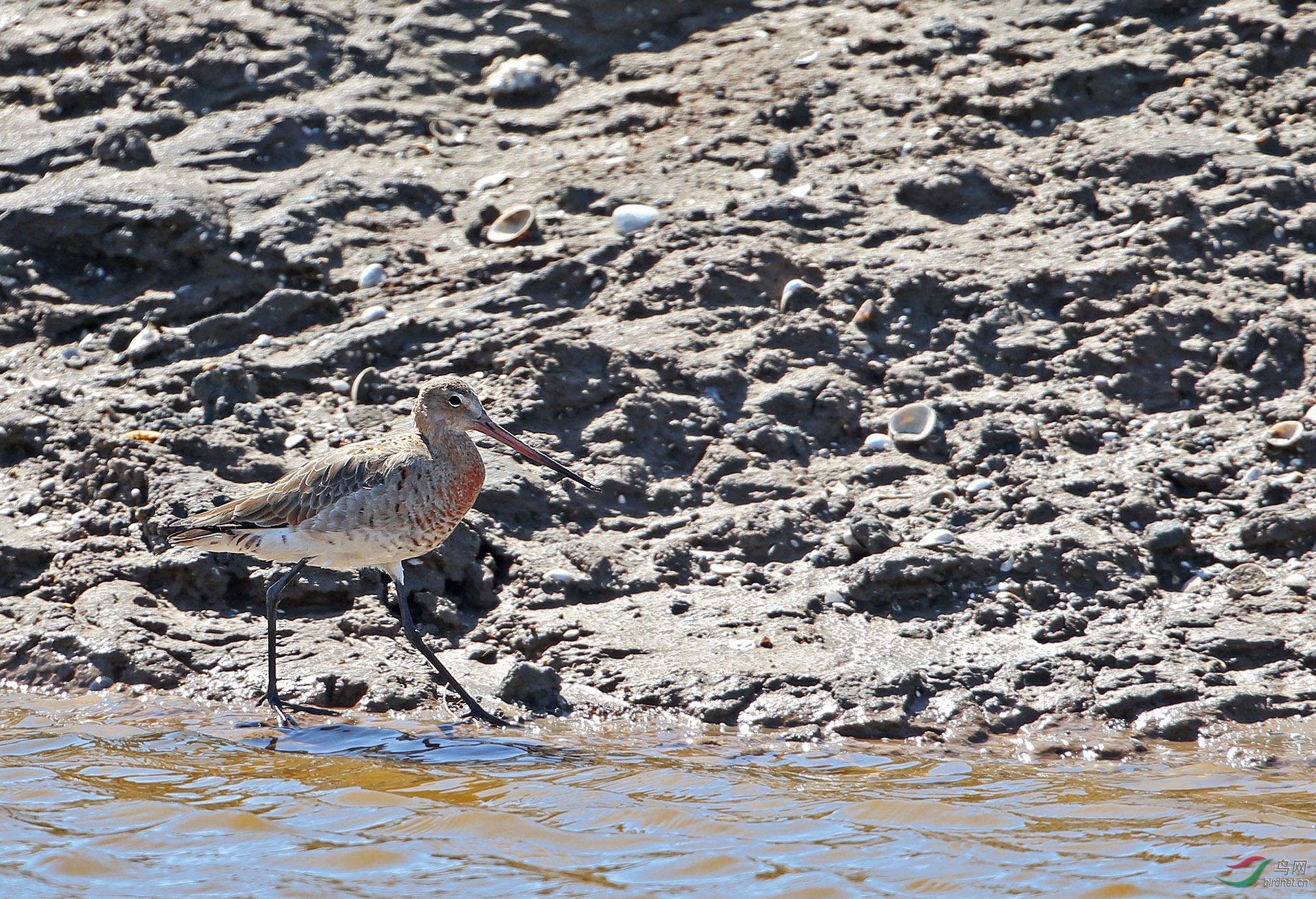 AY7R0063-s.jpg