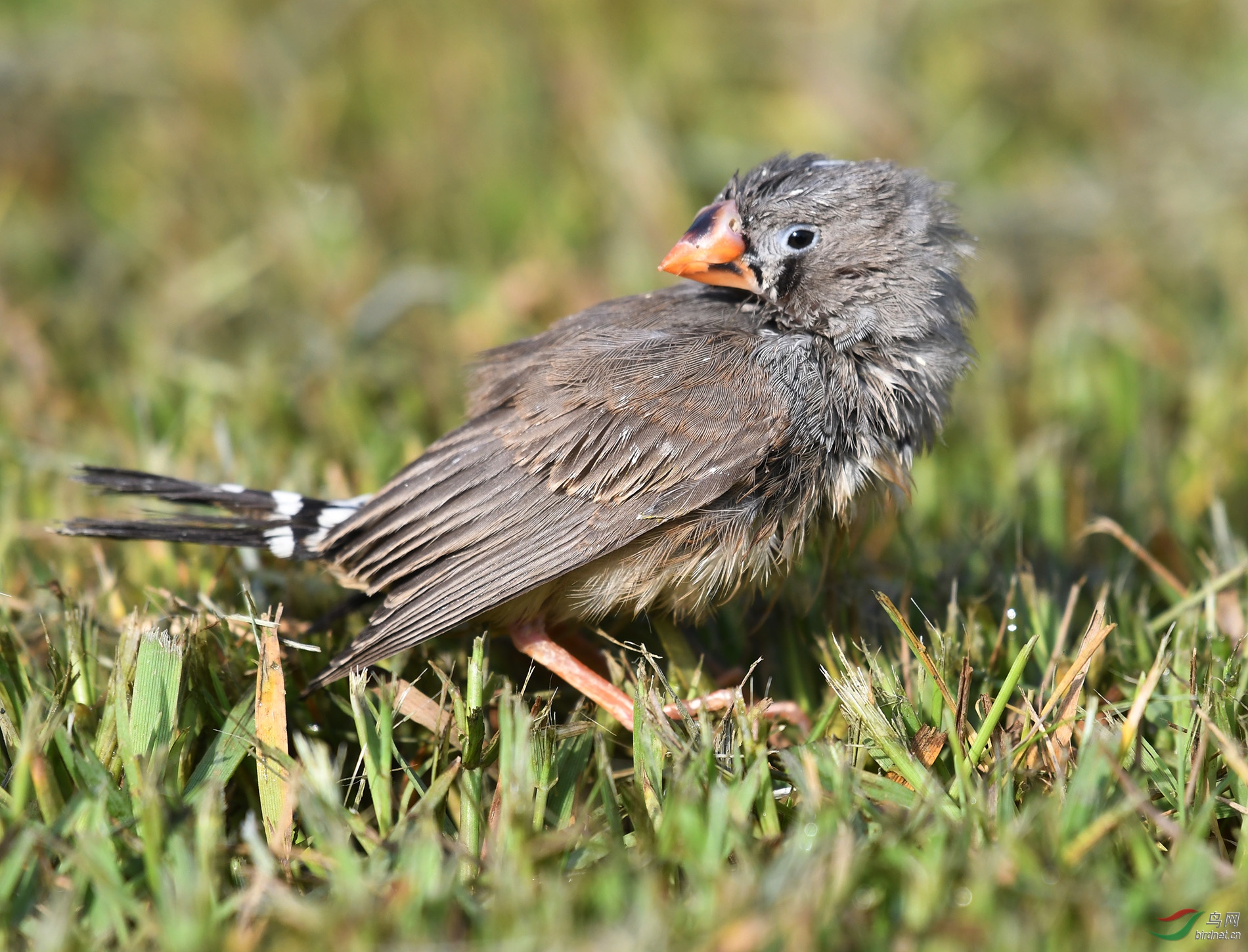 ������Ӱ 10349����.jpg