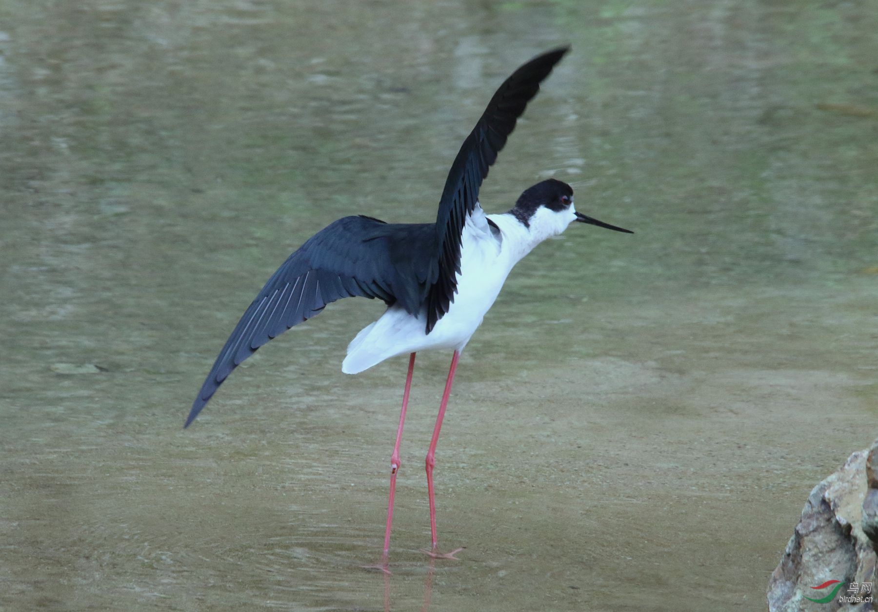 027A2404_����.jpg