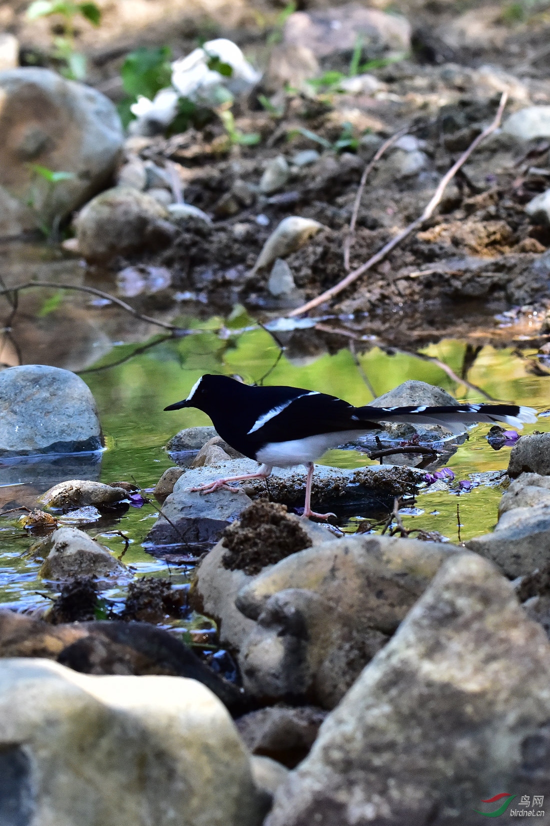 DSC_0090.JPG