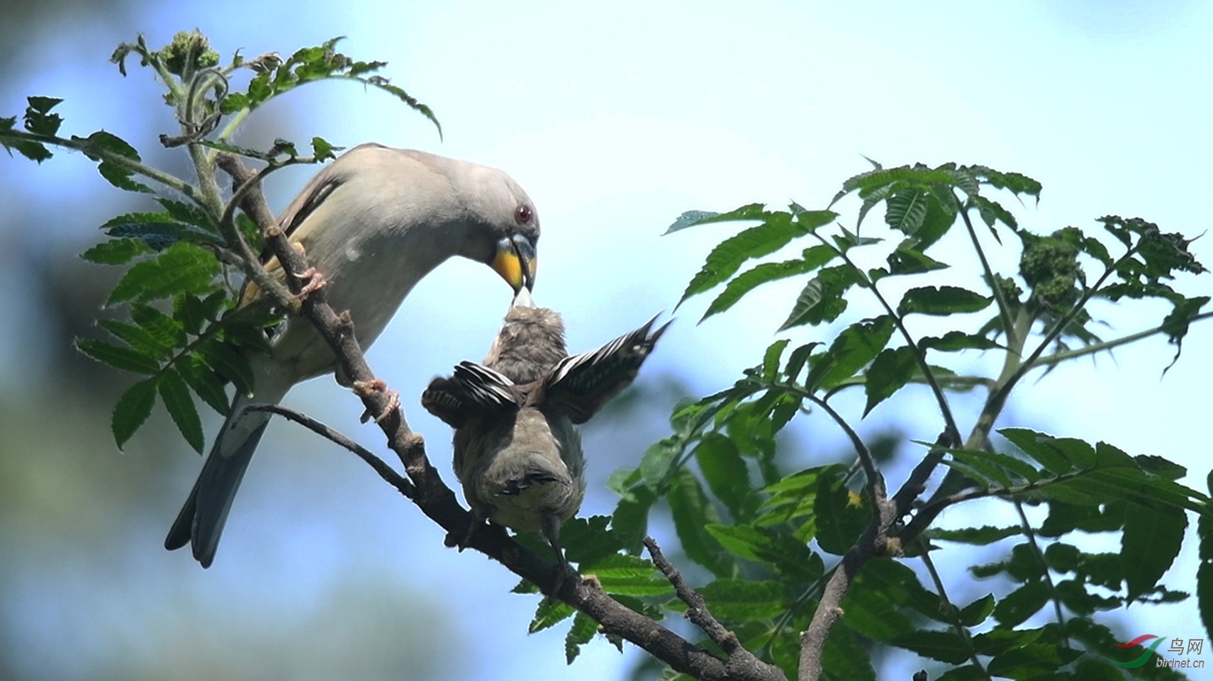 DSC_9389 00_00_55-00_01_07_Moment-1-1.jpg