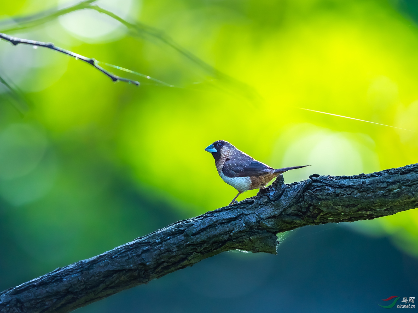 1DX_2625-1.jpg