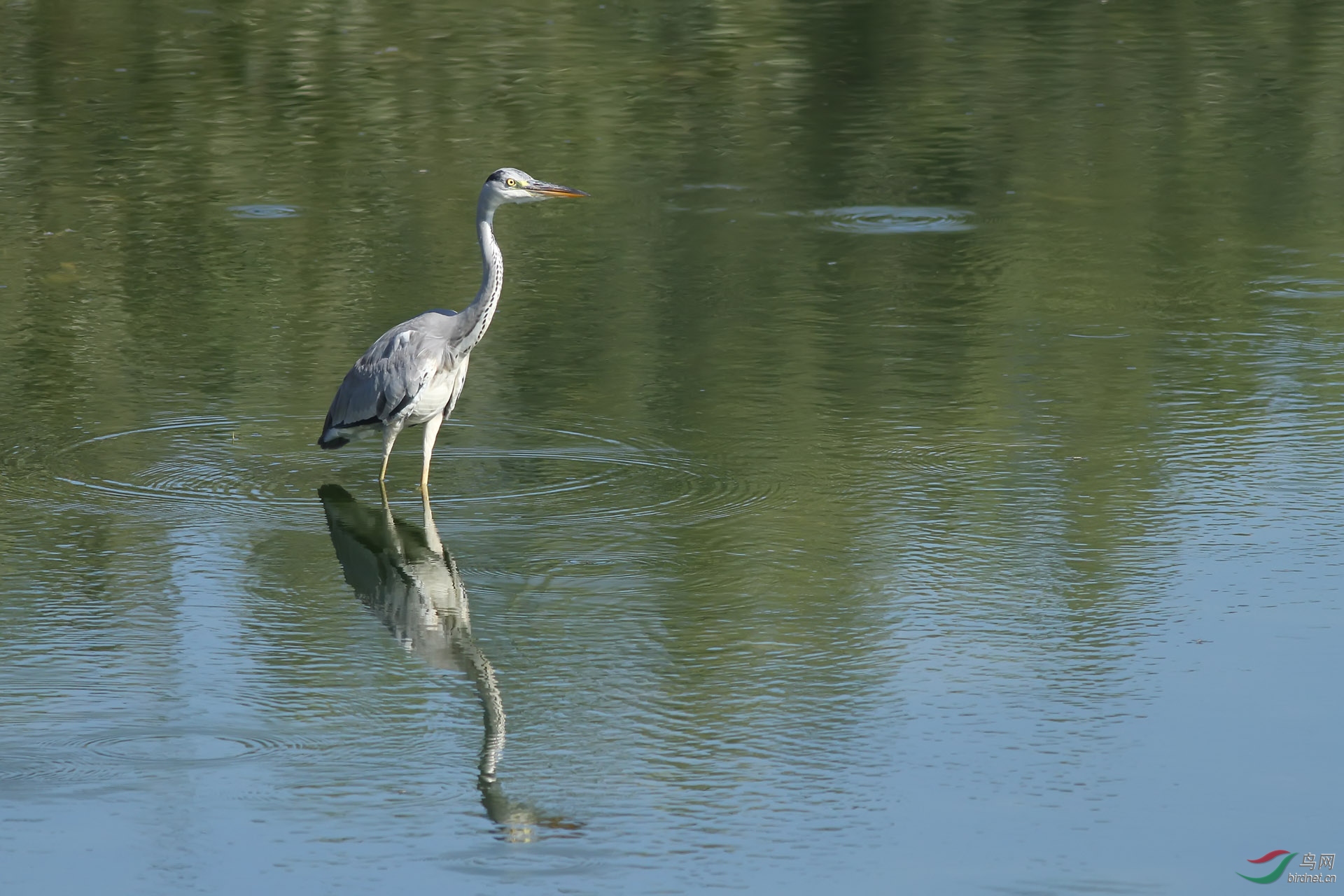 IMG_64622.jpg