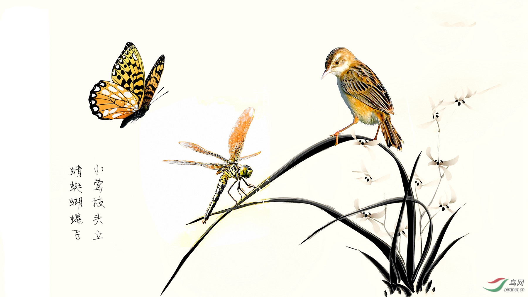 8946c5d3968ed8b197c8c45265d2b48c (2)_����_����_����.jpg