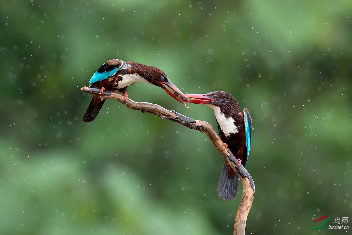 DSC_p2284.jpg