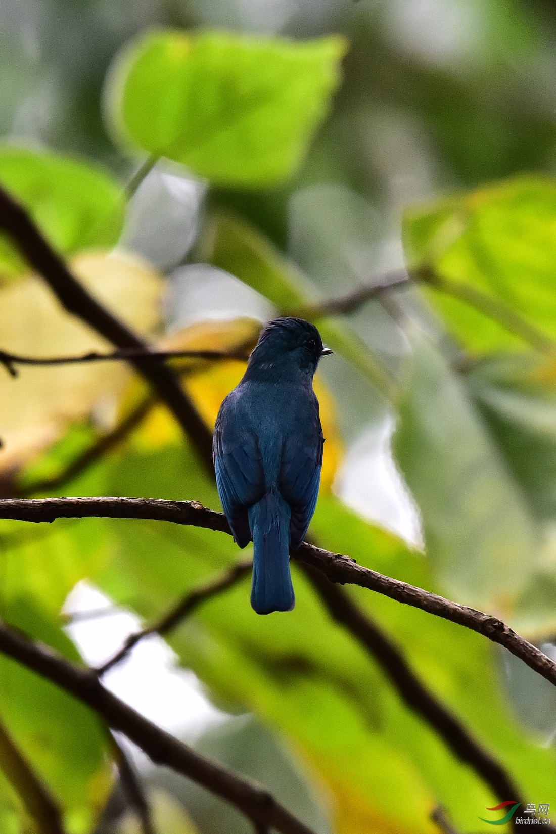 DSC_1174.JPG