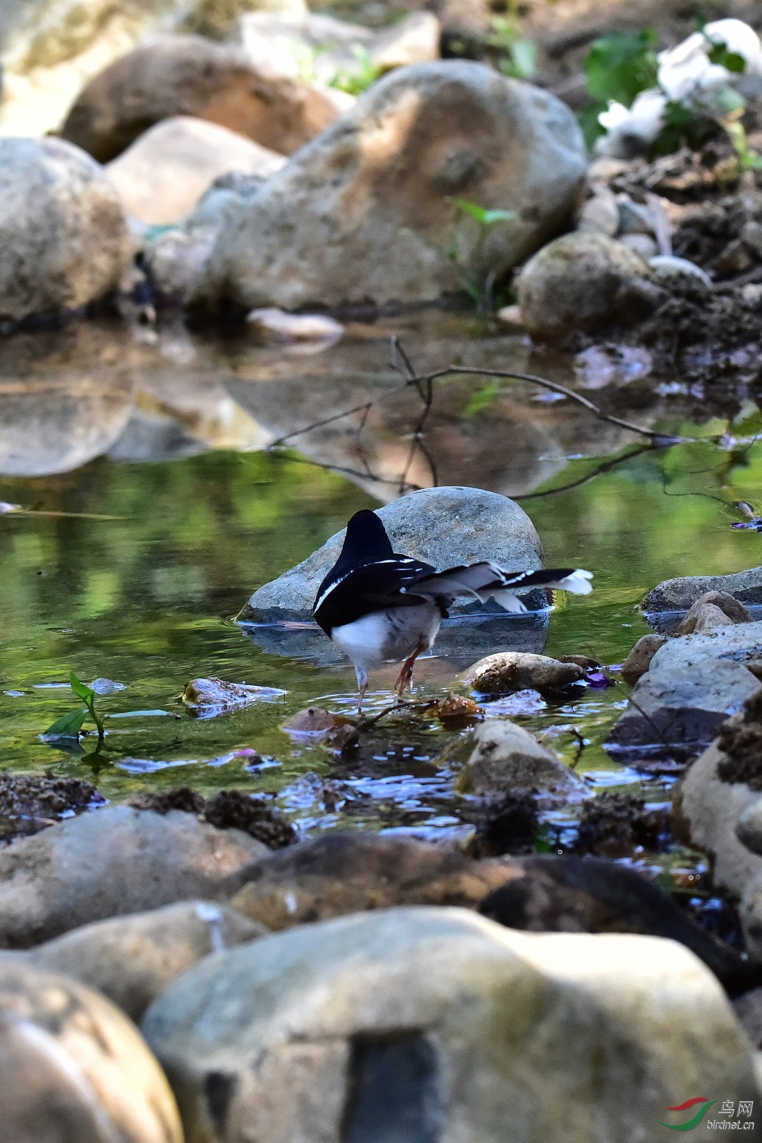 DSC_0093.JPG