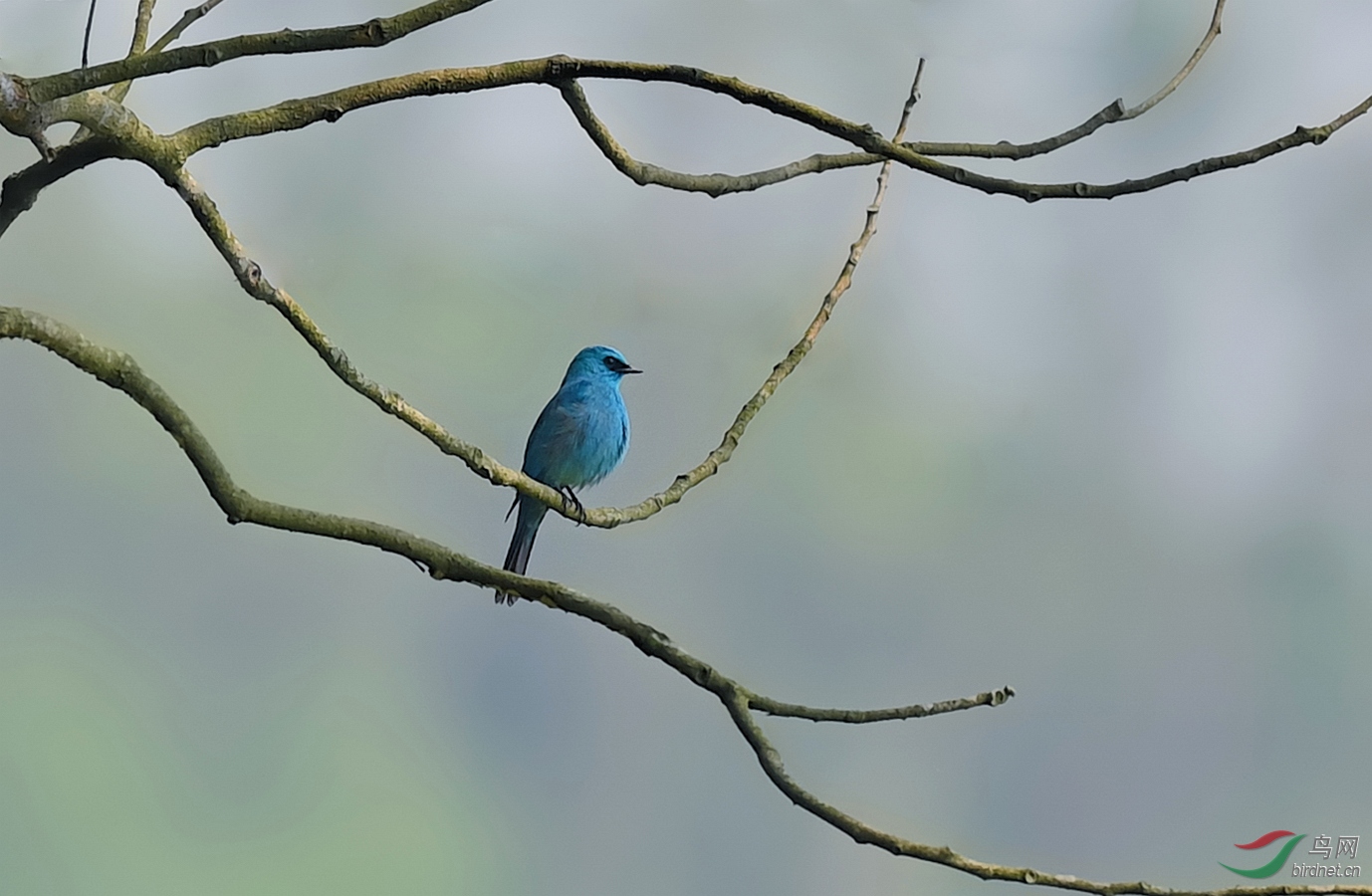 DSC_0050.jpg