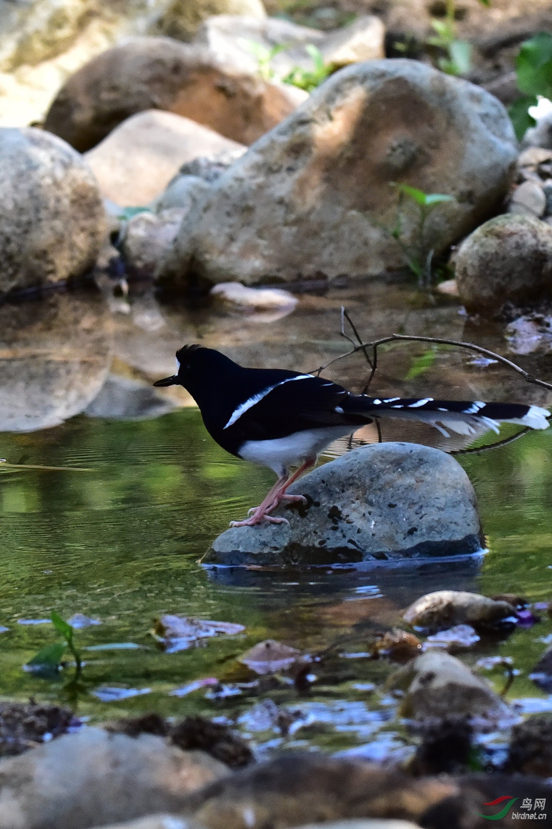 DSC_0095.JPG
