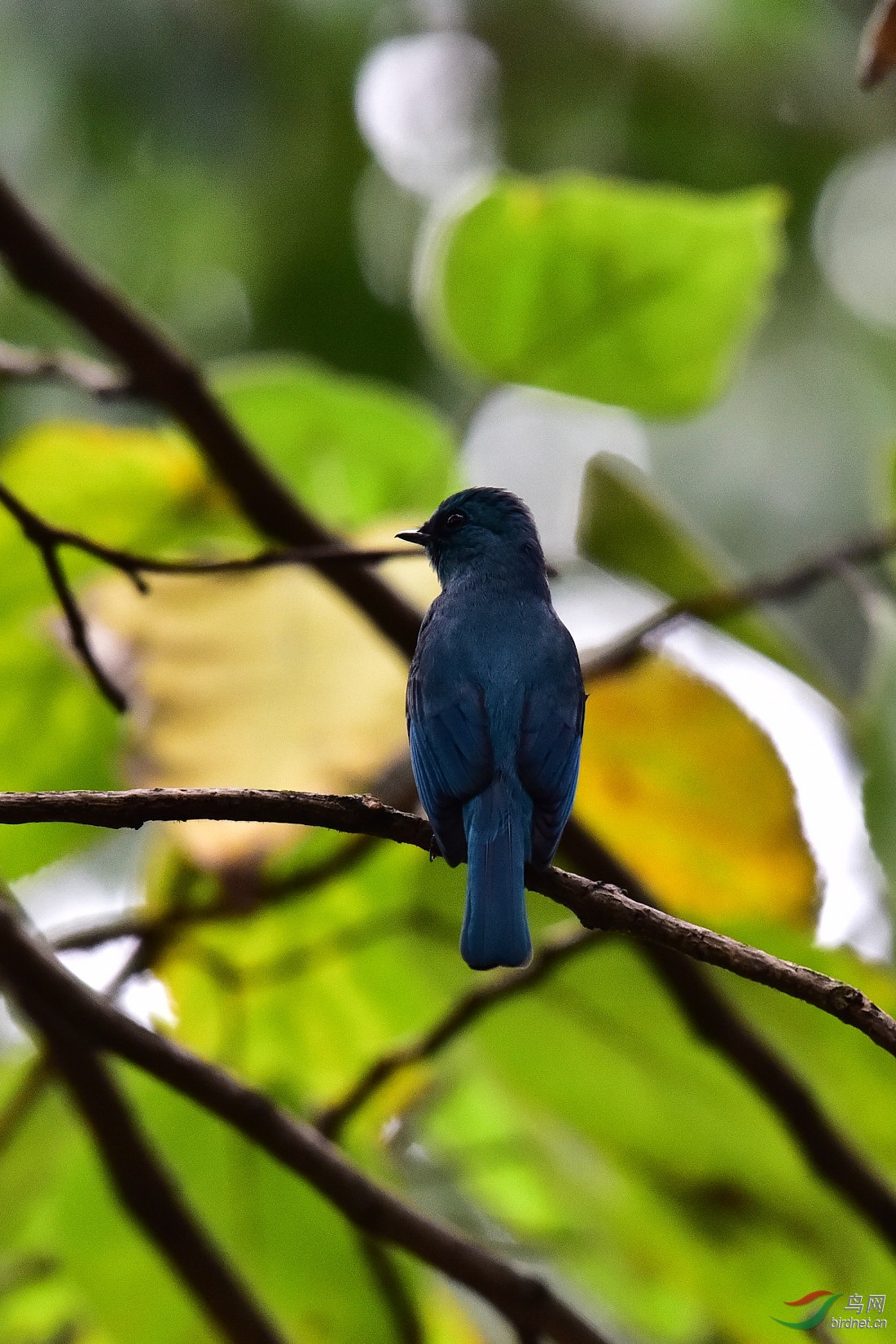DSC_1178.JPG