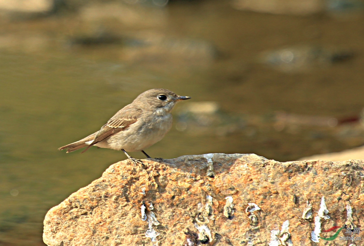 IMG_3404 - ����.JPG