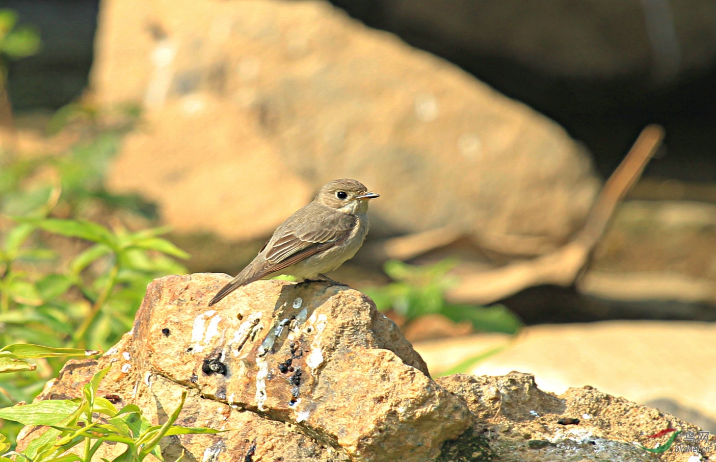 IMG_3402 - ����.JPG