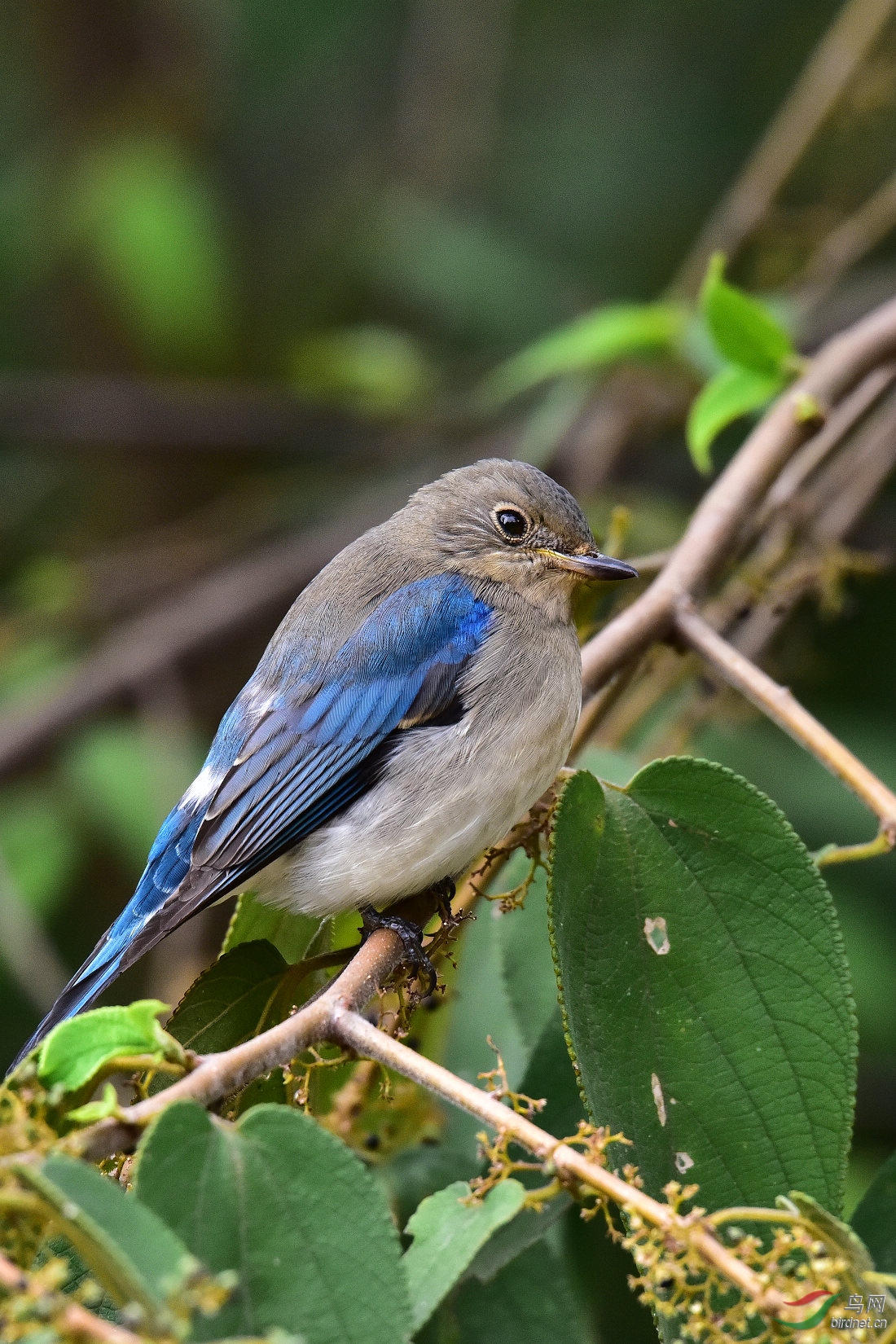 DSC_1179.JPG