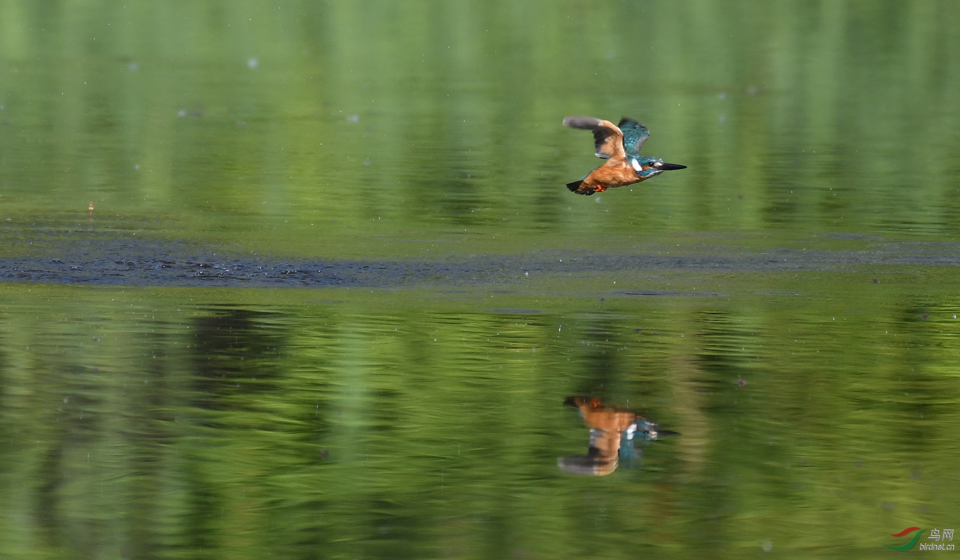 ������Ӱ 6641����.jpg