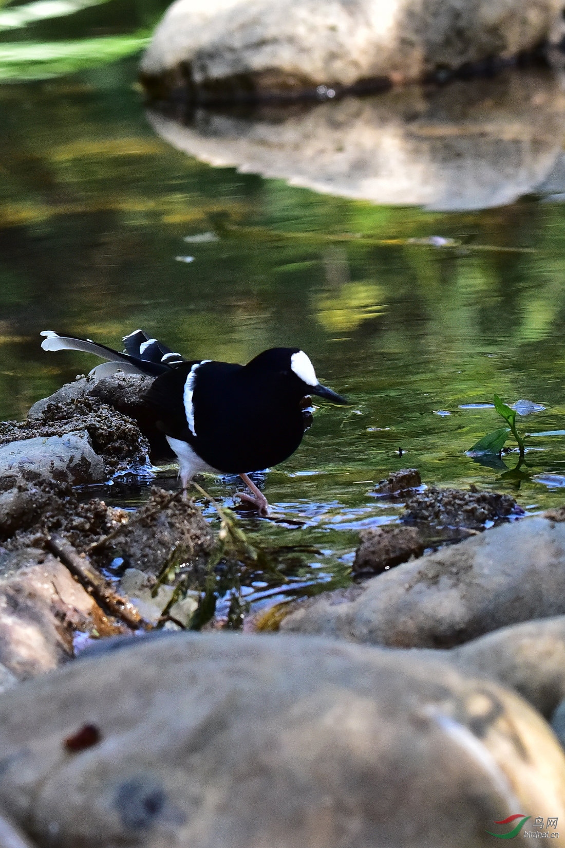 DSC_0101.JPG