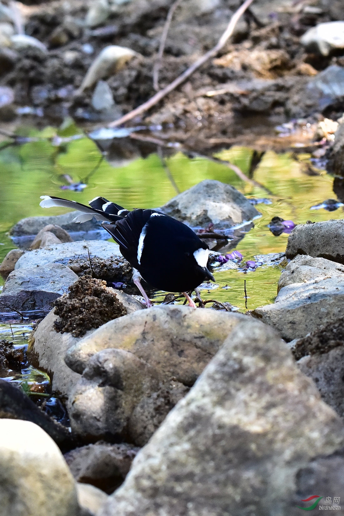 DSC_0102.JPG