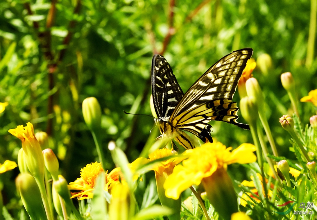 _DSC2457_00001-p-2.jpg