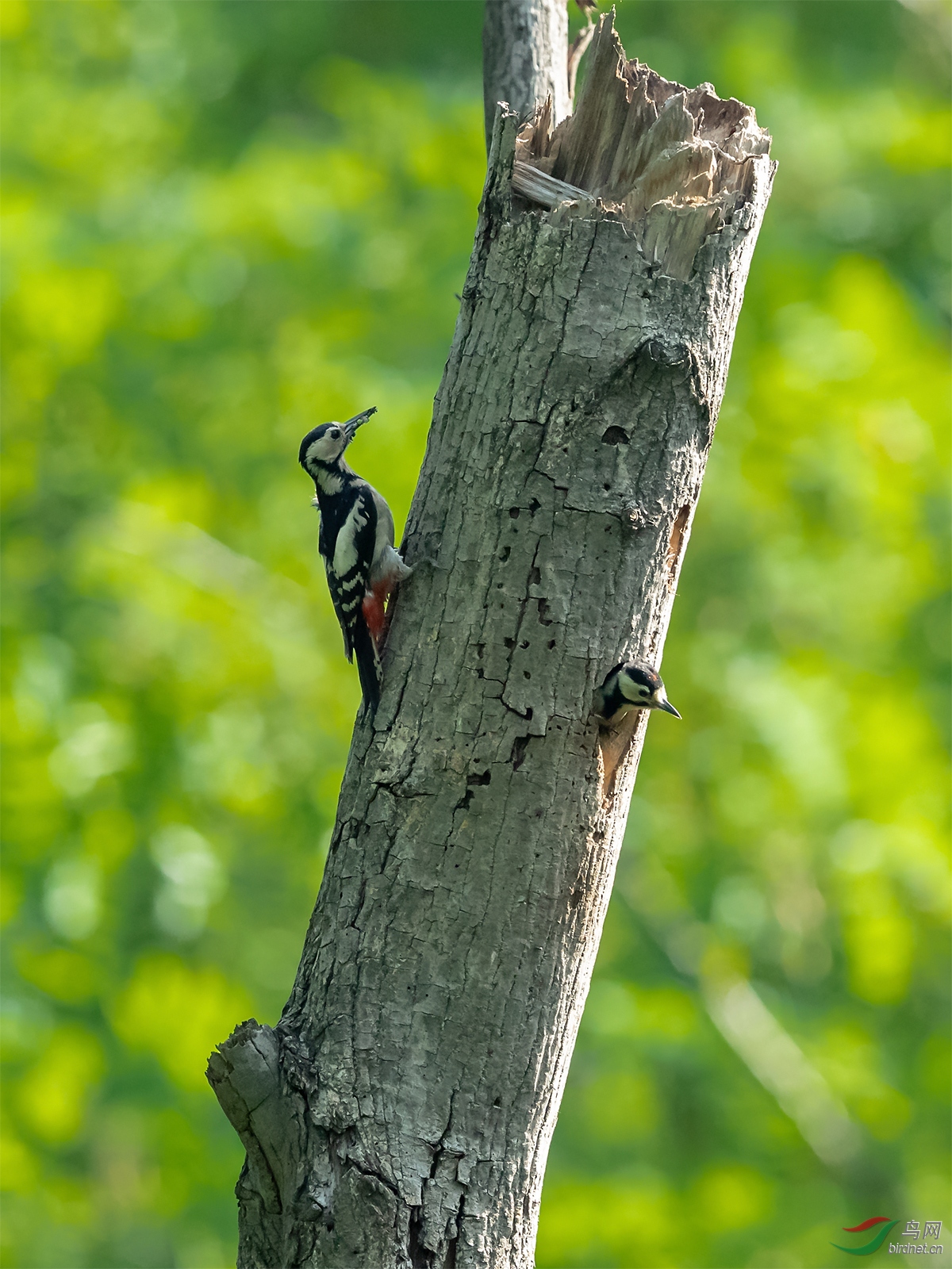 1DX_2926-1.jpg
