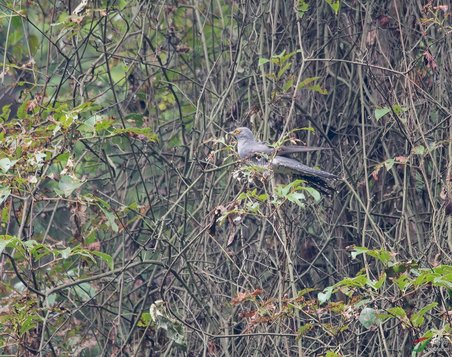 DSC_6941.jpg