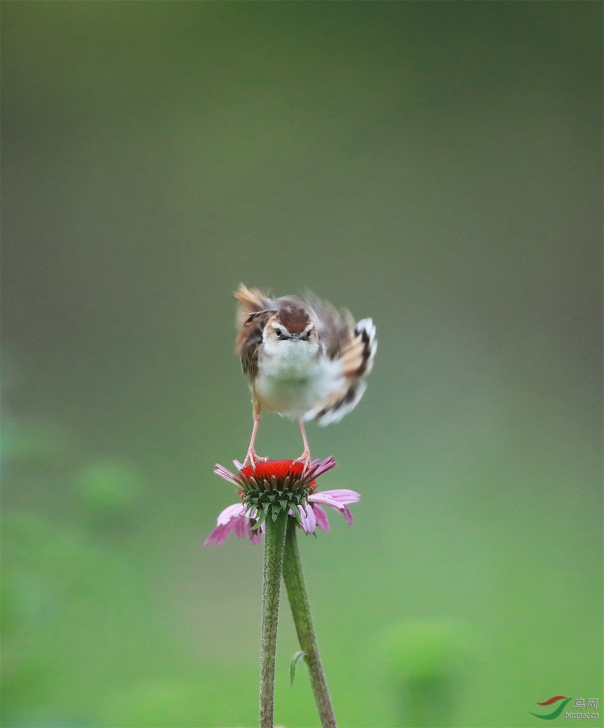 1 - ����.JPG