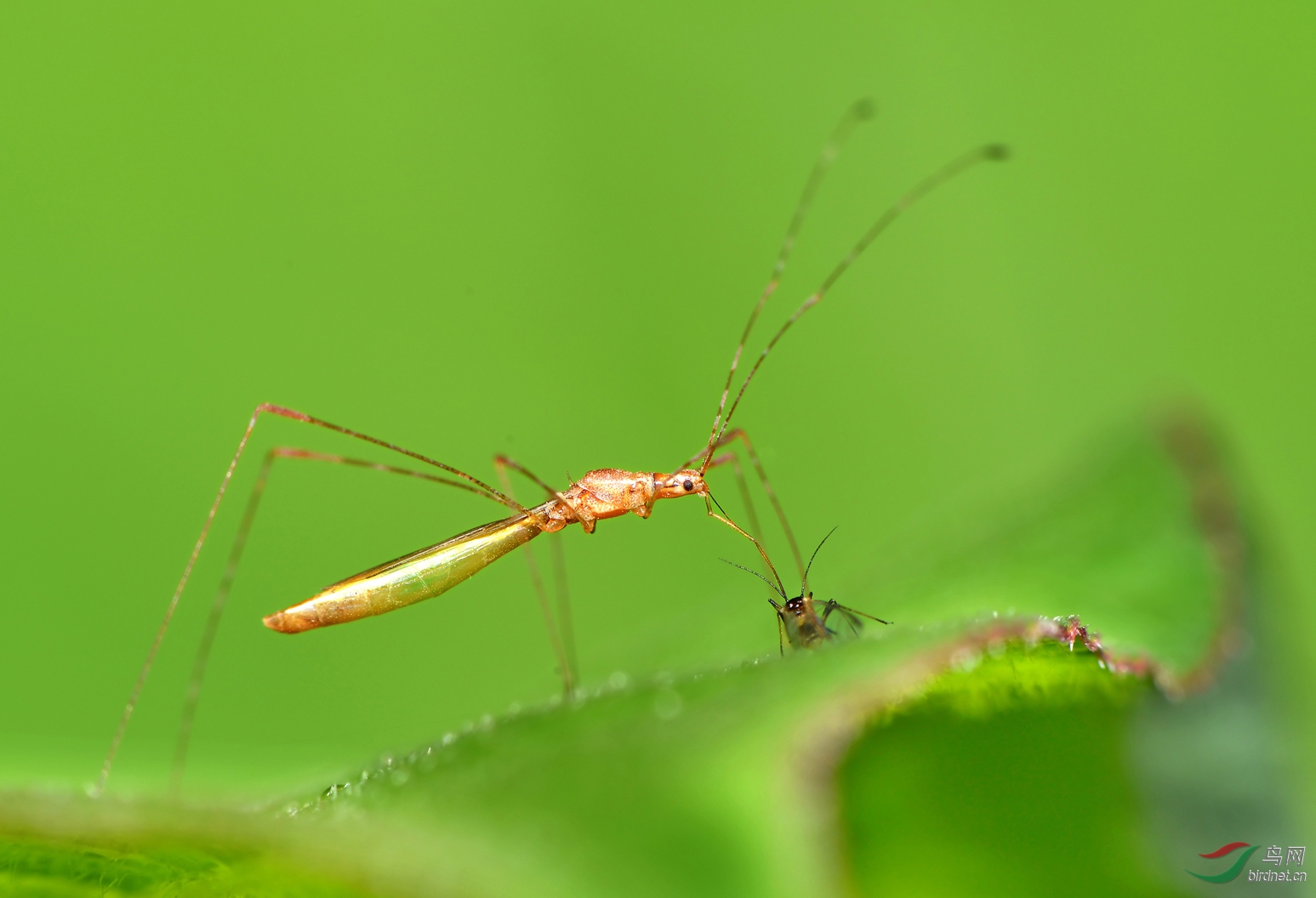 DSC_0034 ��������.jpg