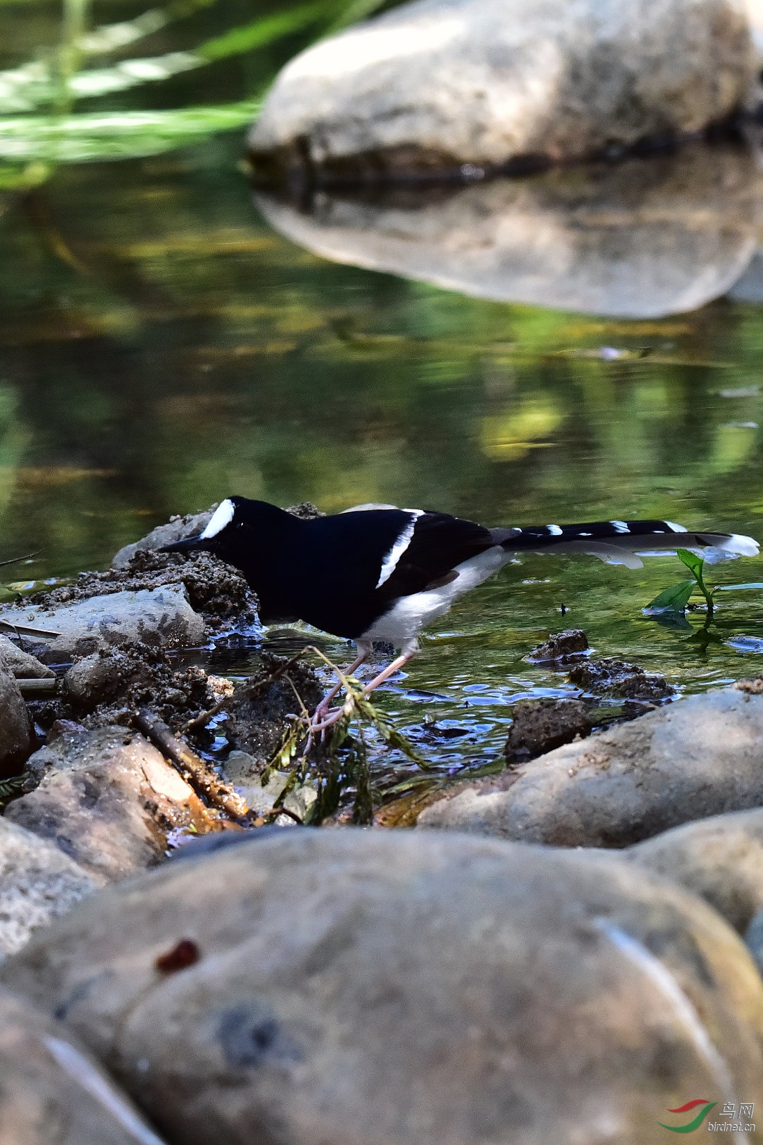DSC_0109.JPG