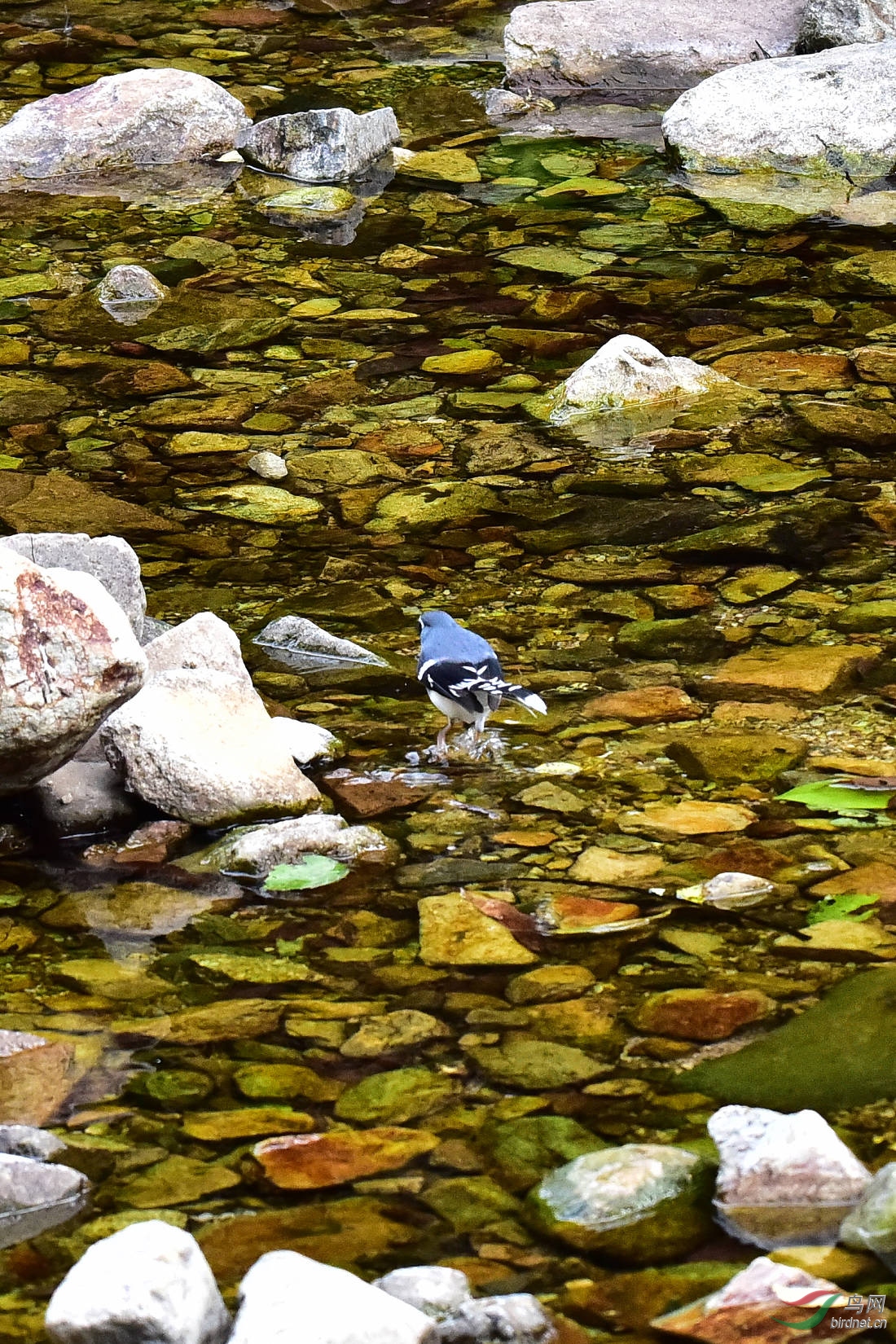 DSC_0113.JPG