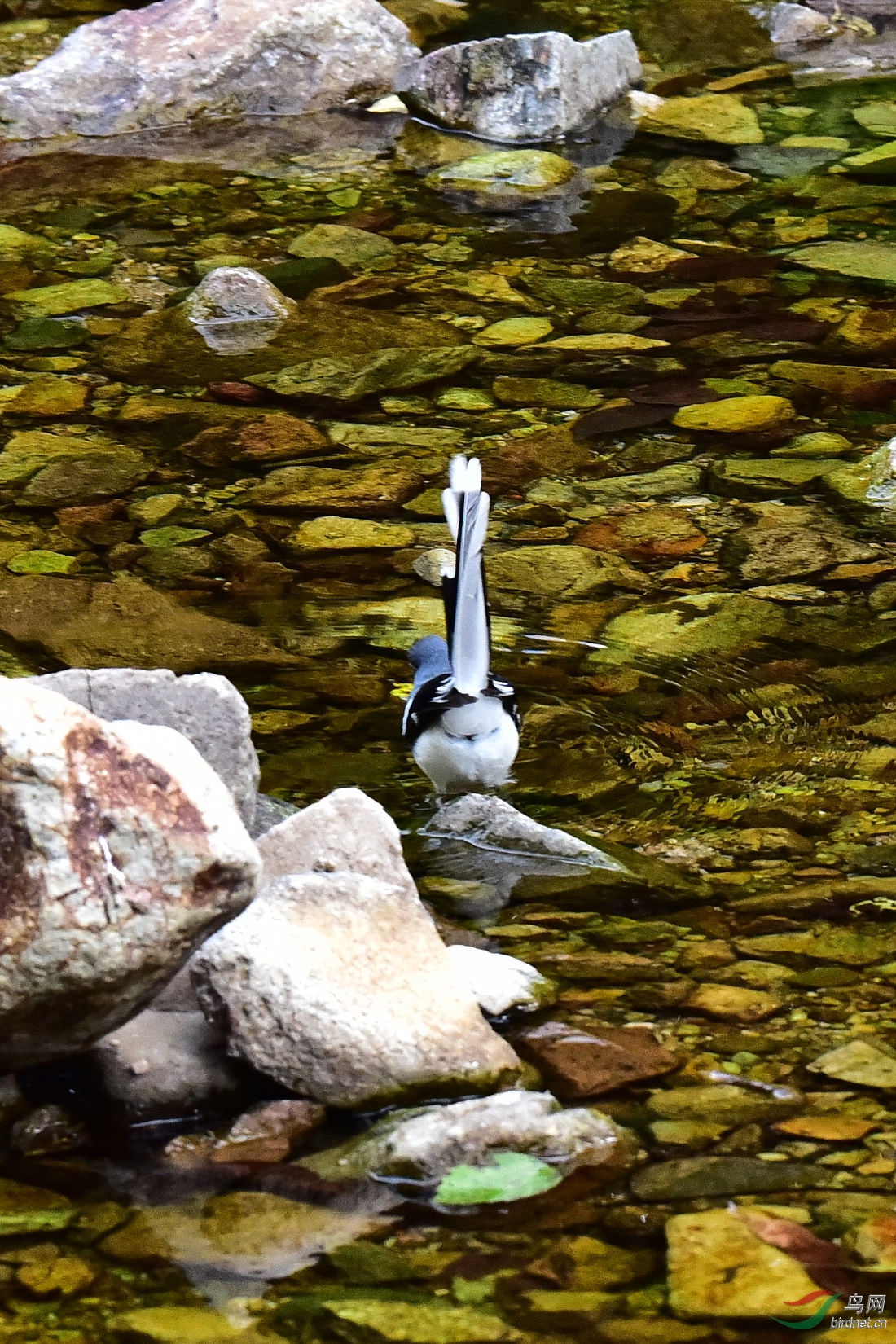 DSC_0114.JPG