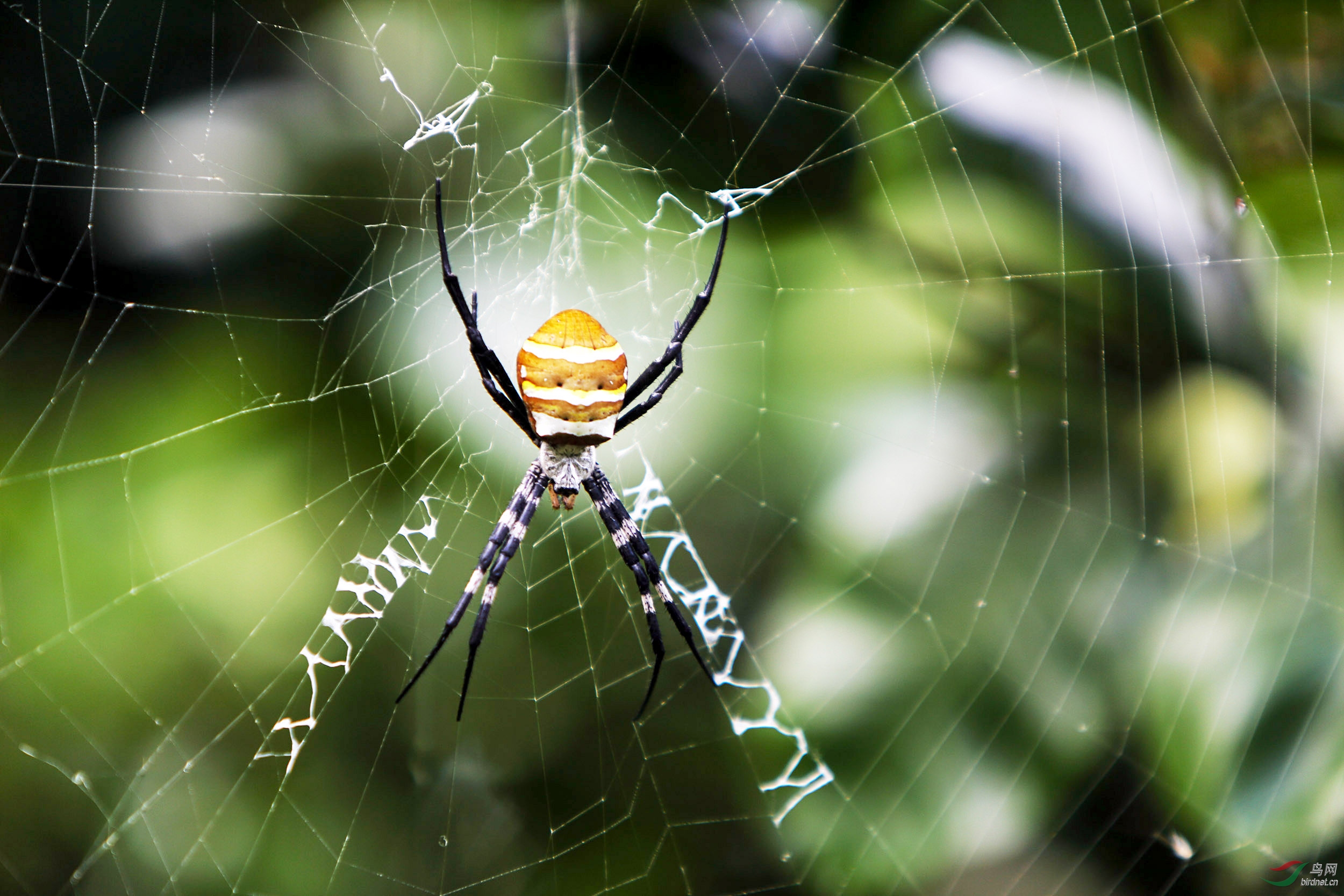 ֩��.jpg
