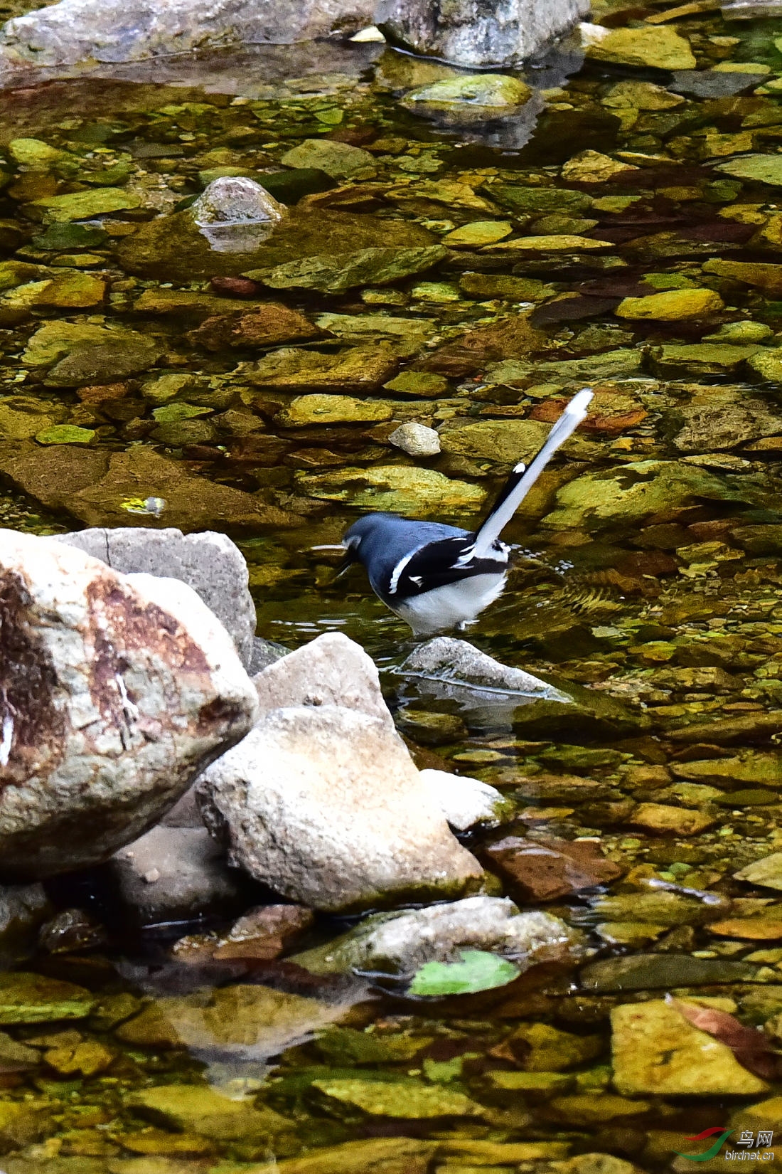 DSC_0115.JPG
