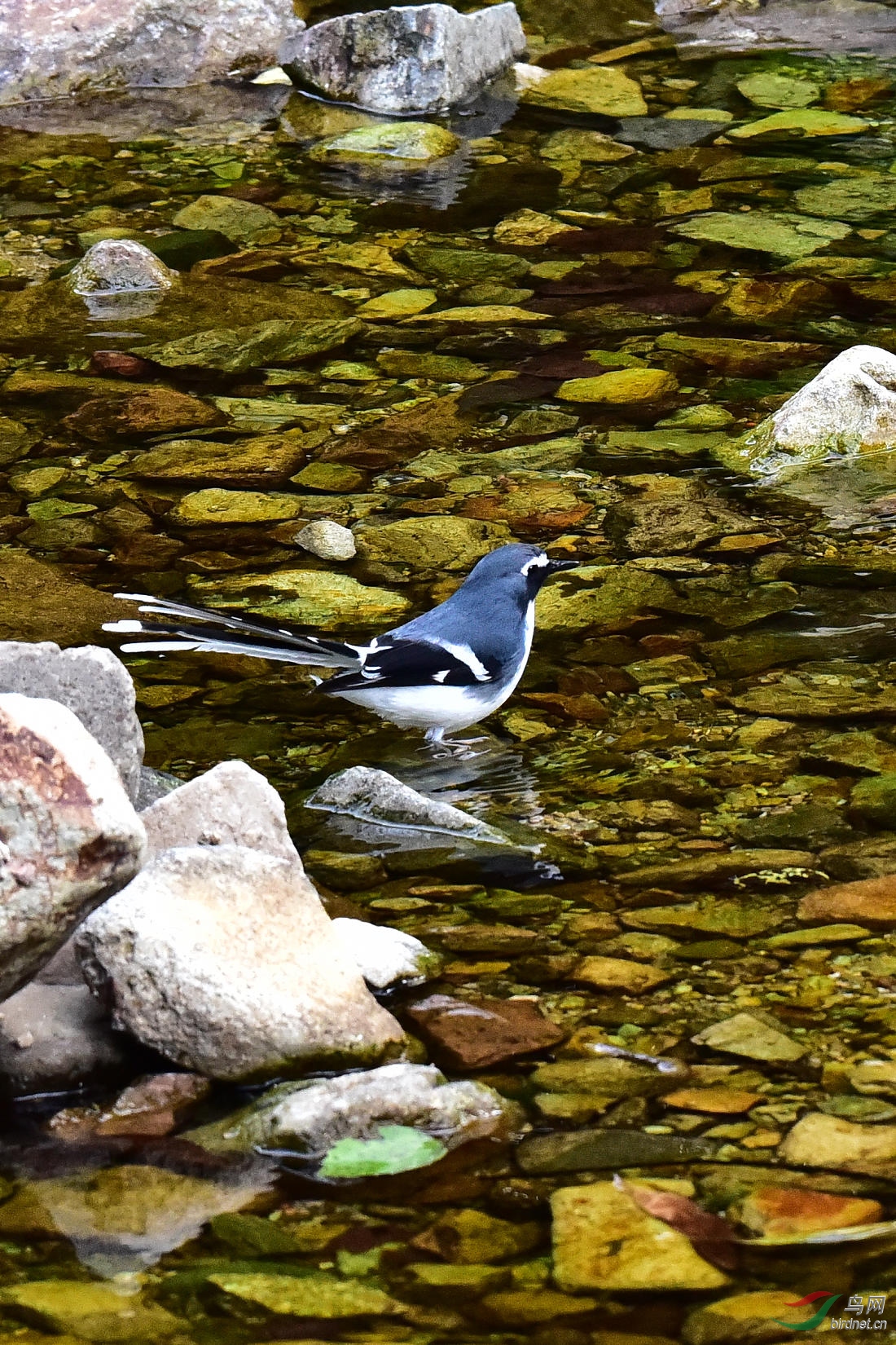 DSC_0116.JPG