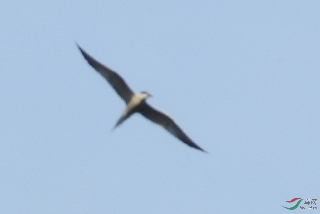 DSCN7759.JPG