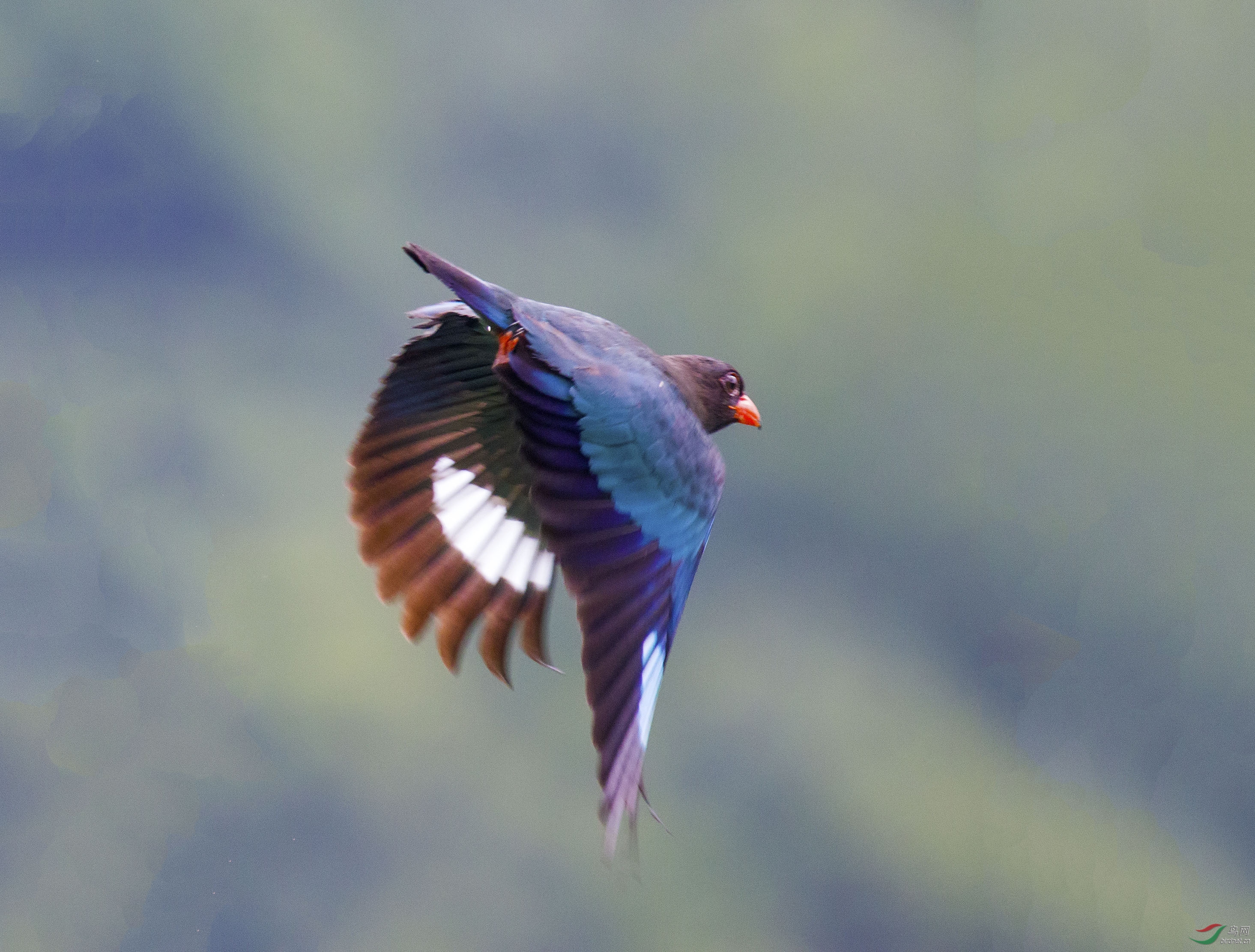 6N9A7613.jpg
