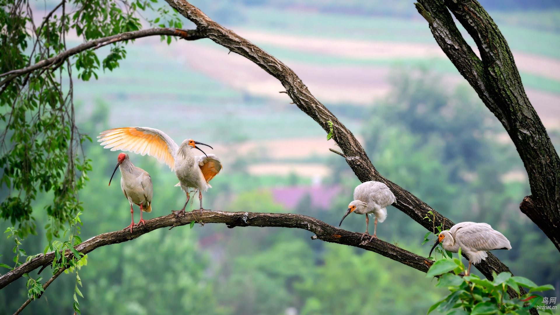 DSC_5670С.jpg