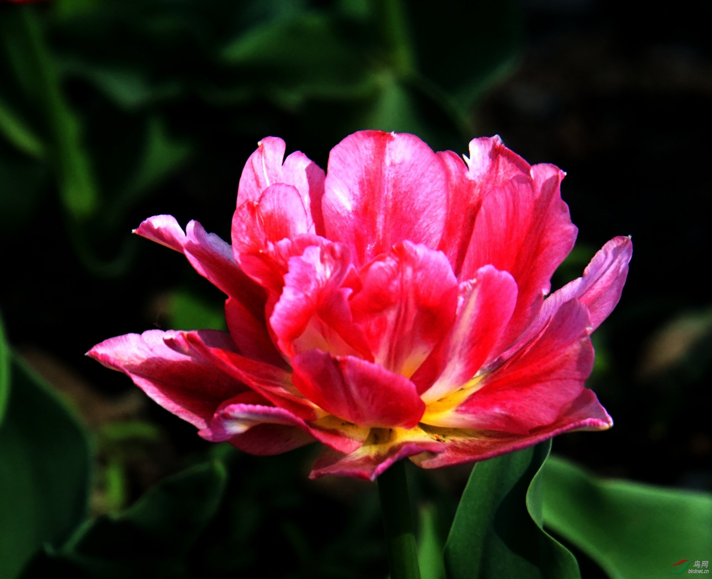 DSC08001.JPG