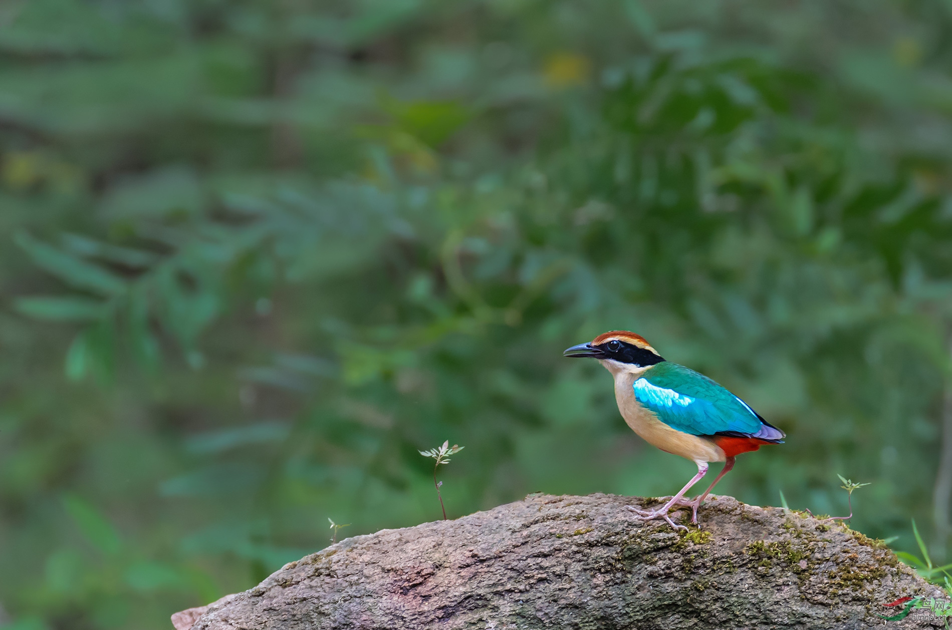 DSC_6565.jpg