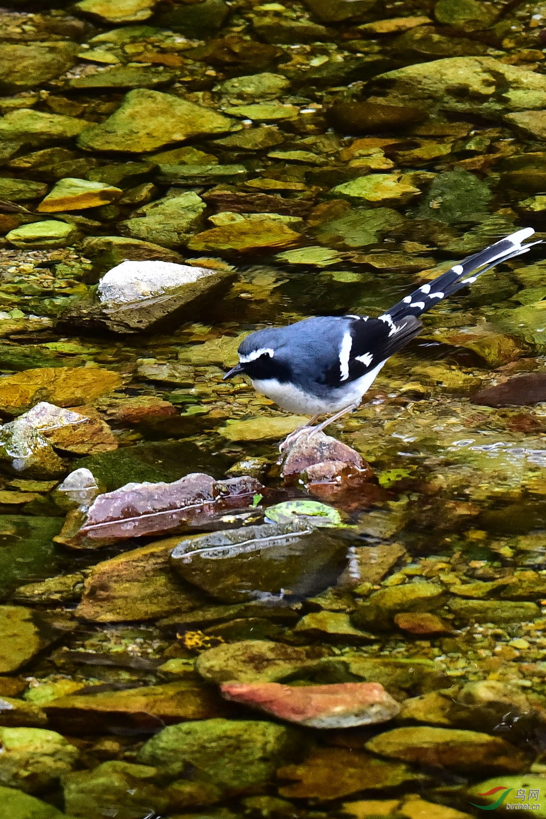 DSC_0126.JPG
