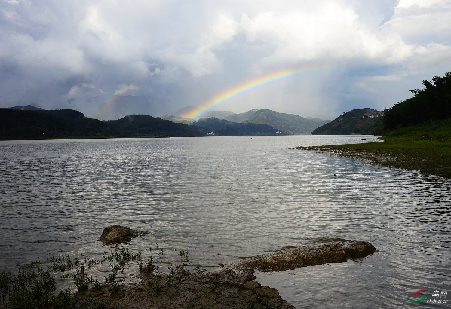 _D809323.jpg