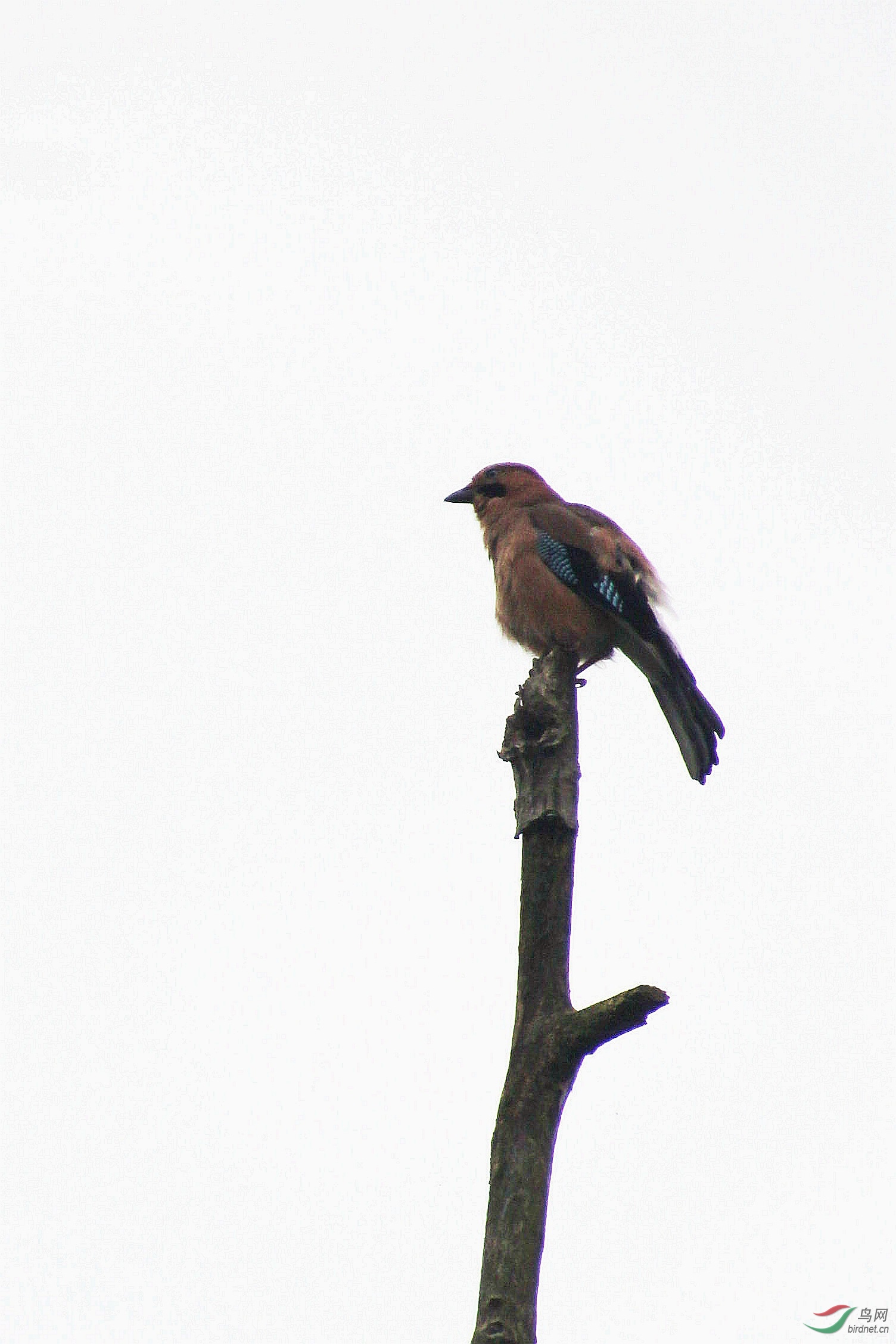 �� 034_����.jpg