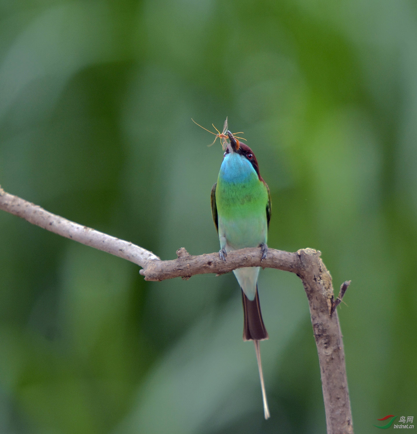 D72_8516.jpg