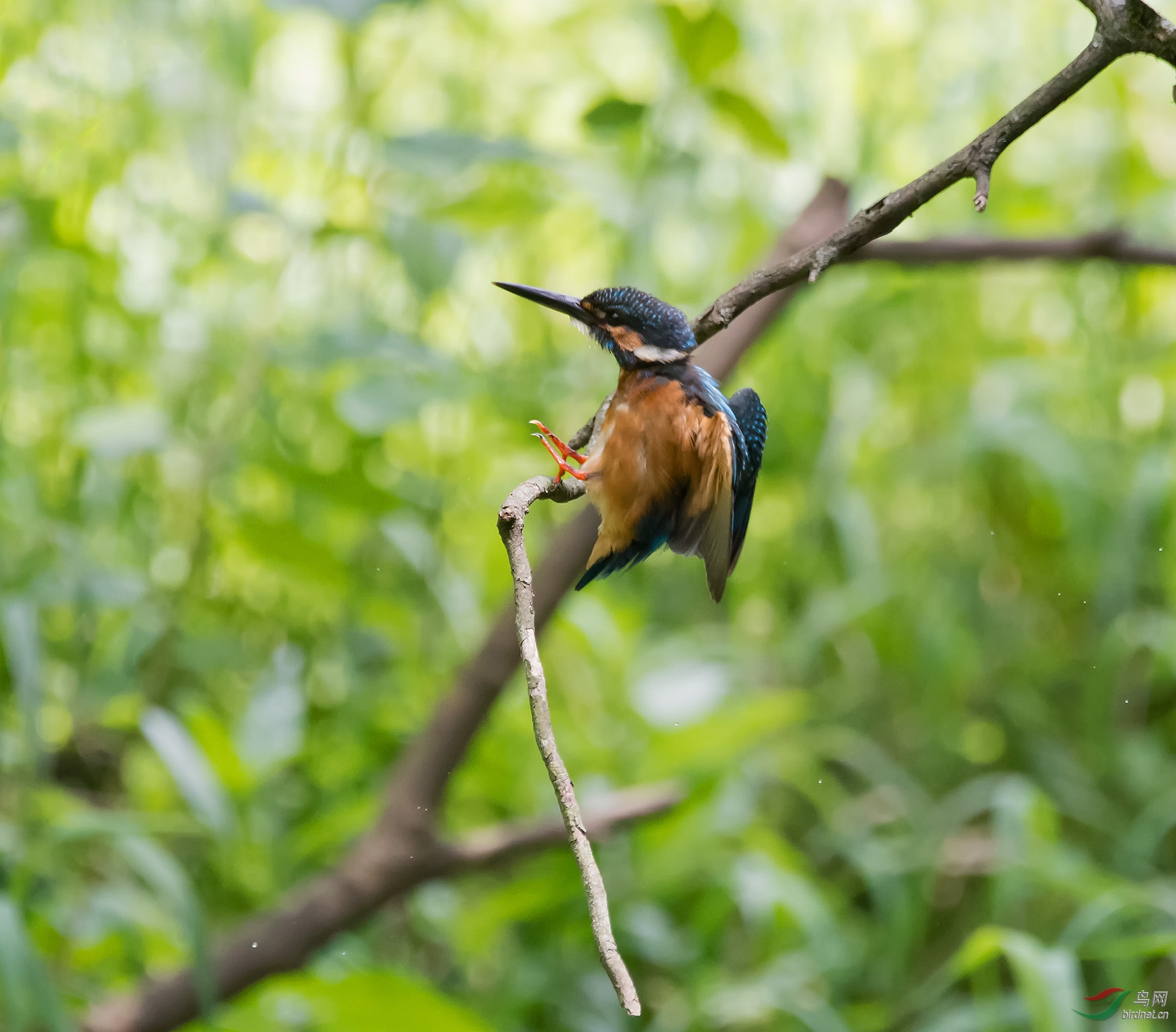 DSC_6739.jpg
