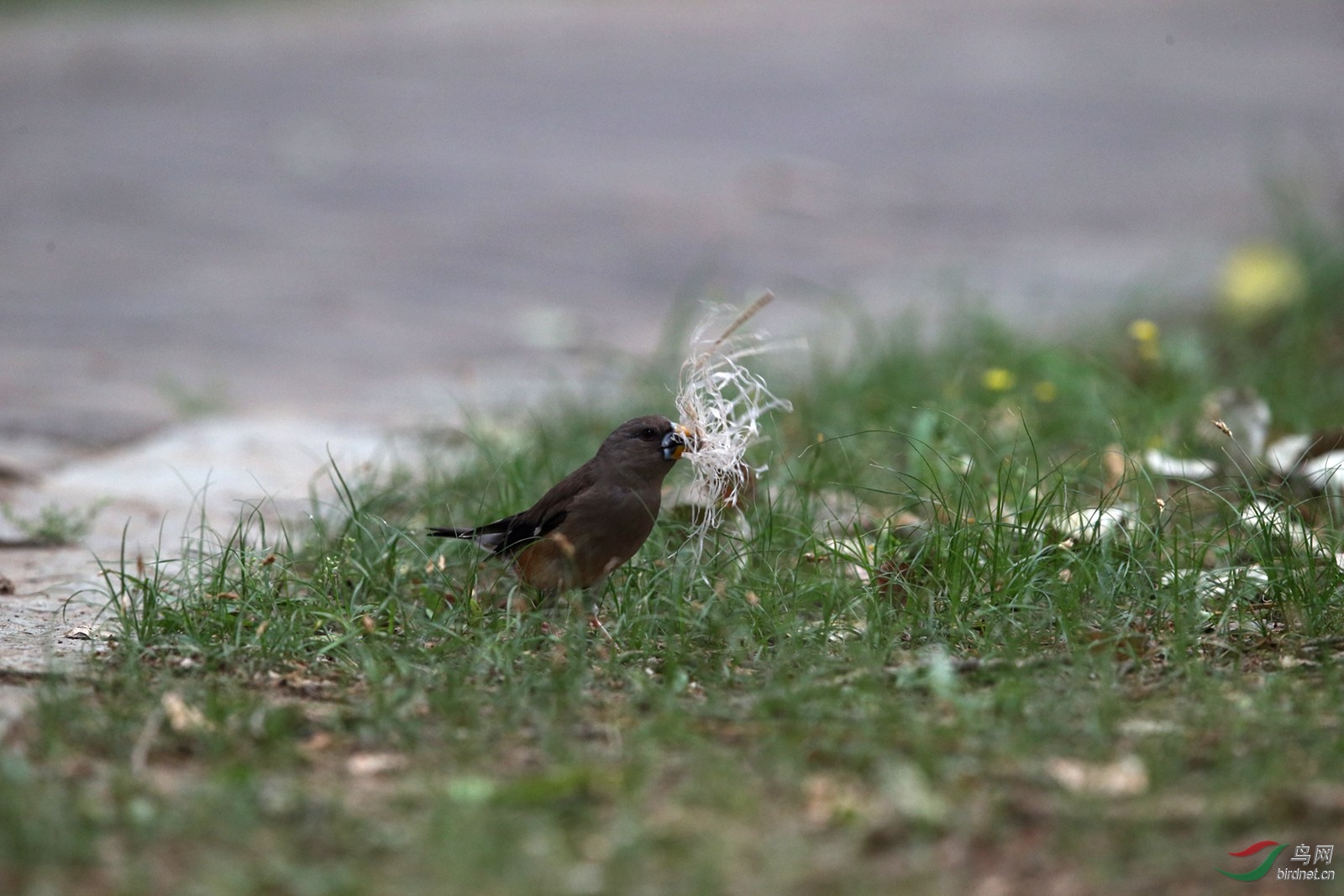 DJ4W6141.JPG