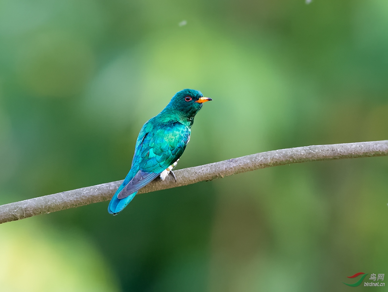 DSC_9935.jpg