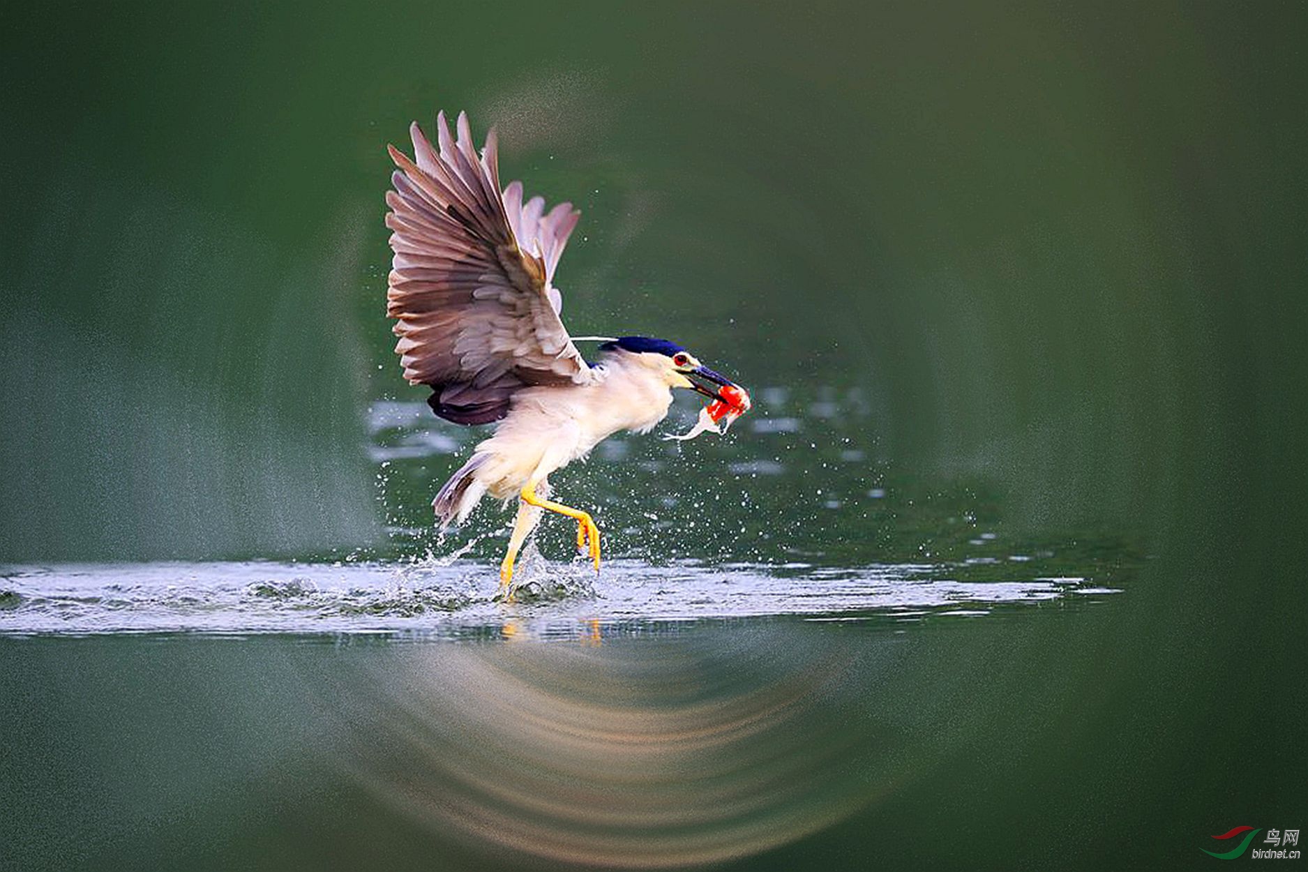 ��ʤ��鸱��_����1.jpg