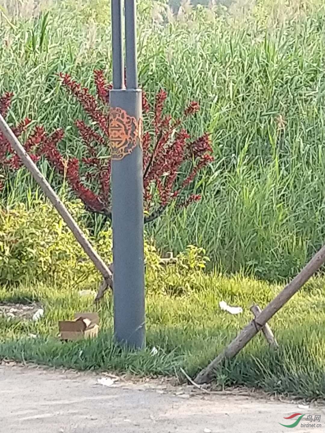 ���������ܶ�