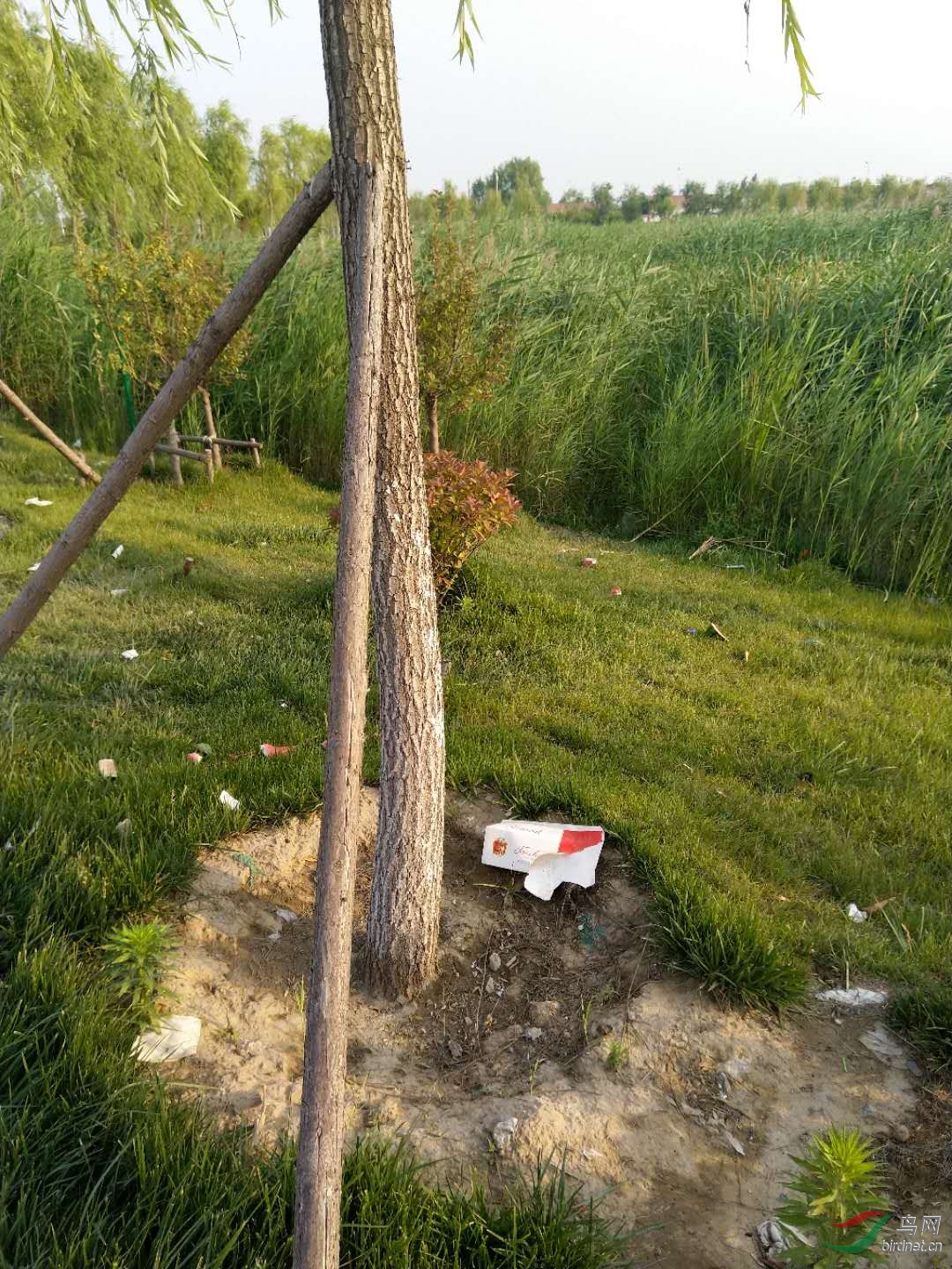 ���µ�ֽ��