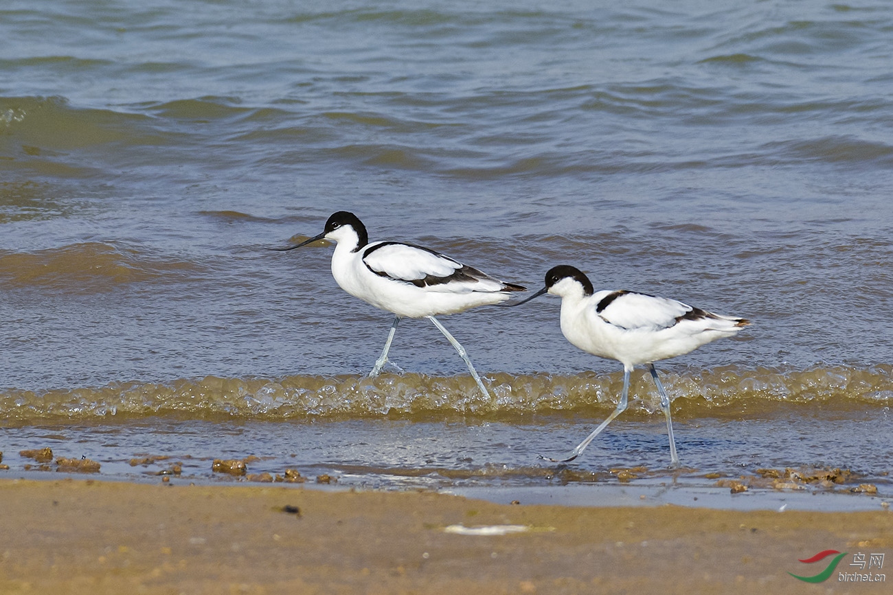 Picture 10611200.jpg