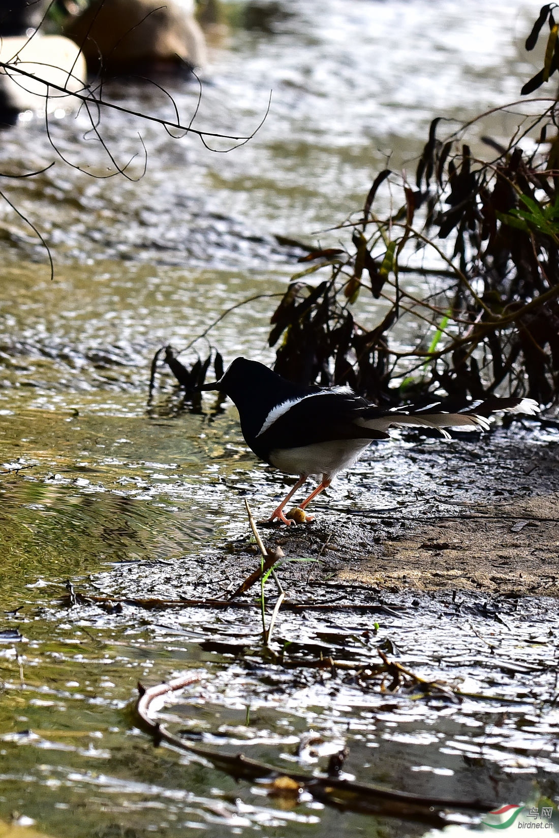 DSC_0136.JPG