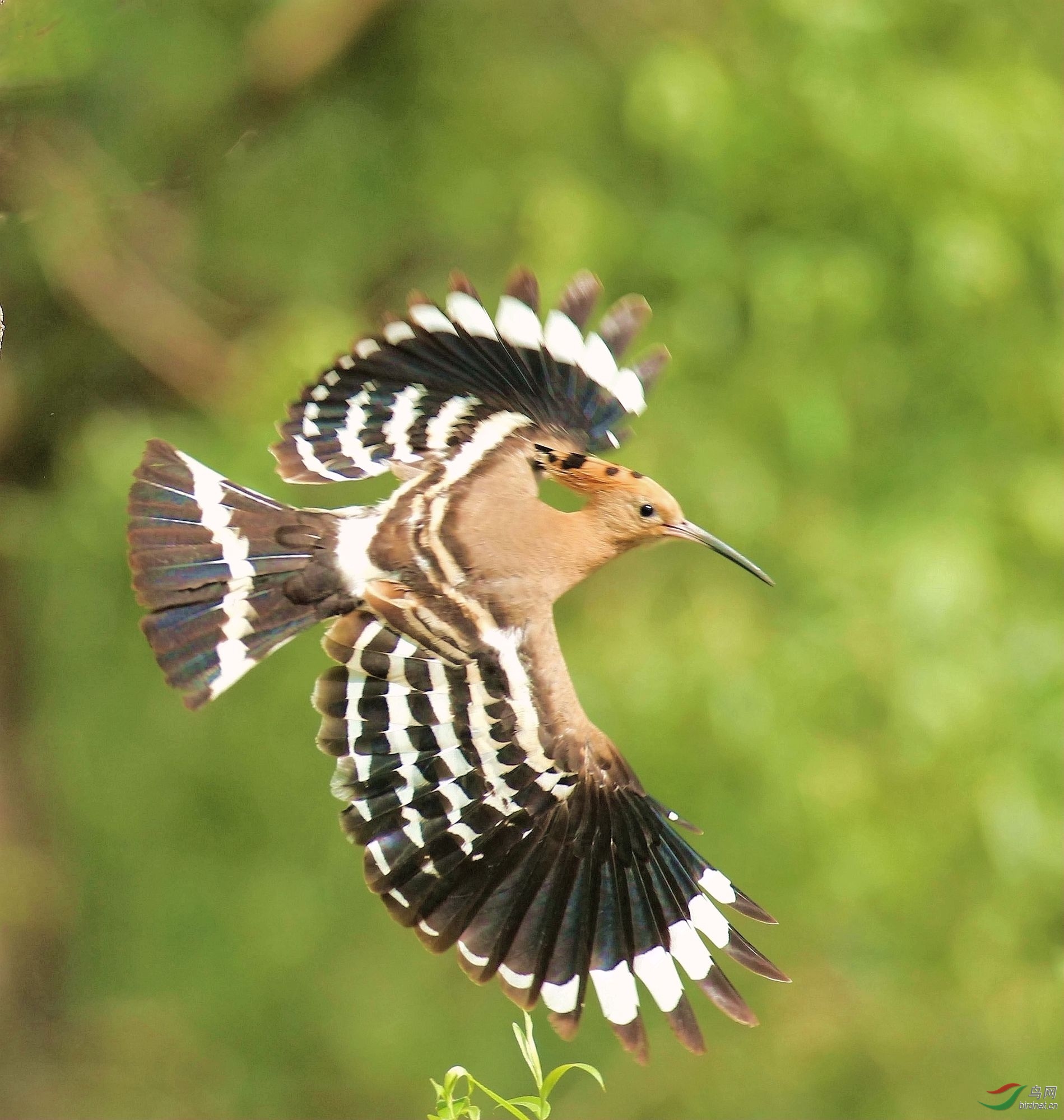 AK2Y2023_2000 (1).jpg